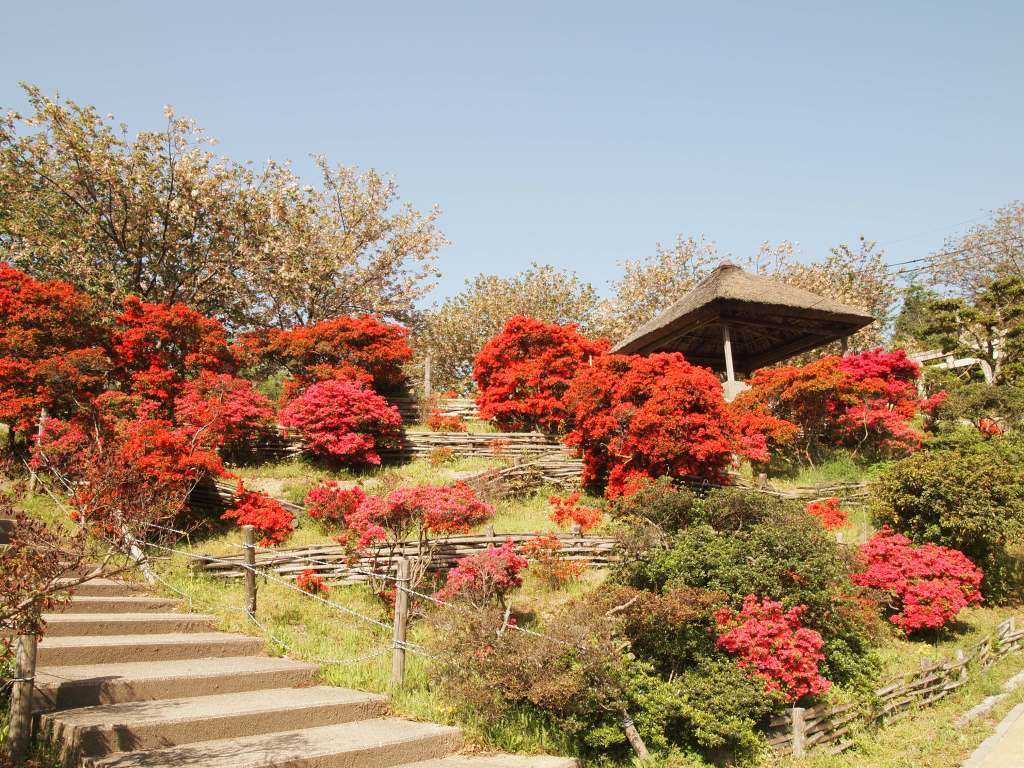 花 早島公園 岡山の公園紹介ポケットブック